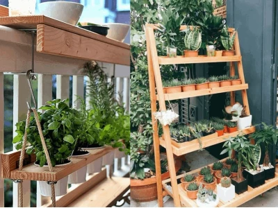 Top 10+ Mẫu Kệ Trồng Cây Ban Công Đẹp và Tiện Lợi Năm 2026