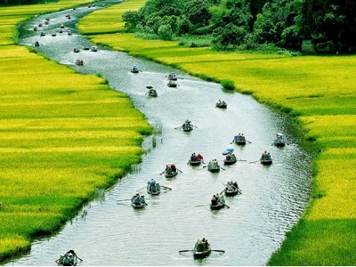 Vẻ Đẹp Quê Hương Việt Nam: Khám Phá Di Sản Thiên Nhiên Hùng Vĩ