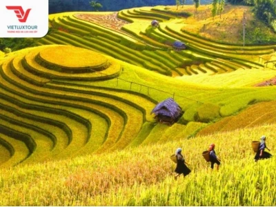 Vẻ Đẹp Say Đắm Của Sa Pa Mùa Xuân: Khám Phá 6 Điểm Chiêm Ngưỡng Tuyệt Vời