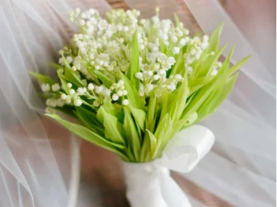 Ý Nghĩa Hoa Linh Lan: Biểu Tượng Của Tình Yêu Và Hạnh Phúc