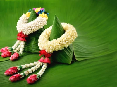 Ý nghĩa hoa nhài: Biểu tượng của tình yêu, sự thuần khiết và may mắn