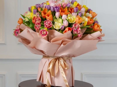 Ý Nghĩa Hoa Tulip Trắng: Biểu Tượng Tinh Khôi Của Tình Yêu Và Sự Trân Trọng