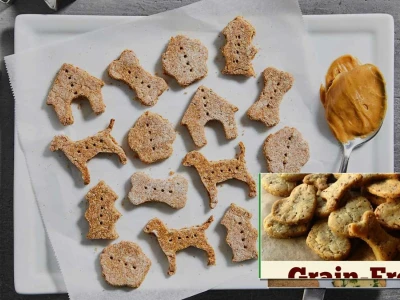 Best homemade healthy dog treat recipes grain-free for 2026